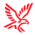 Academia Falck